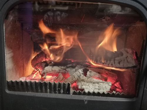 �����ǳ�䤹�褦�ˤʤ�ޤ���