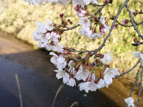 ��褤�κ��������ˤʤ�ޤ���