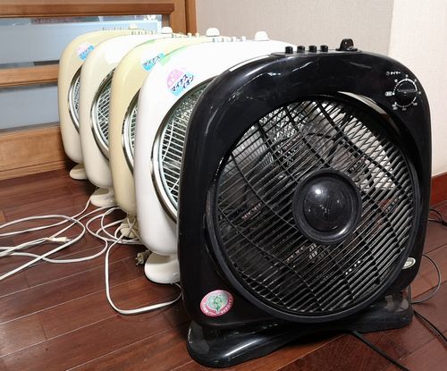 ����ο��Ӥ��줬