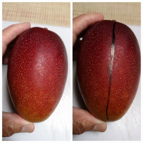���֤��濴����ޤ�
