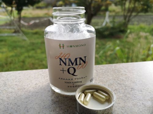 �����ץ���