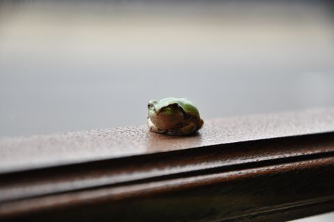 ���Ȥ���Ź���ƻ뤷�Ƥ��ޤ����ʡ�����