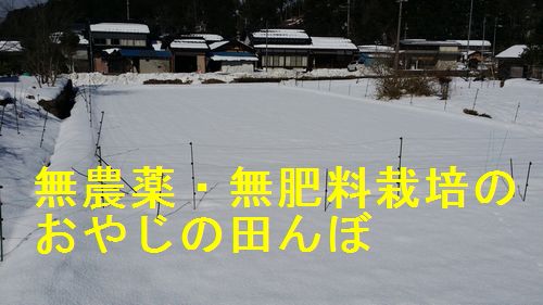 ���䤸���Ĥ��
