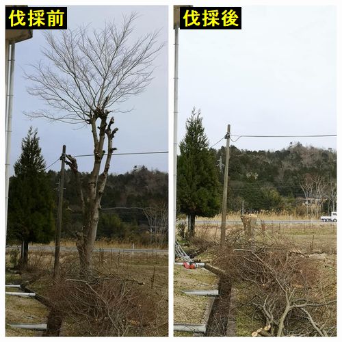 �̿�����Ȳ�����Ǳ���Ȳ�θ塡������