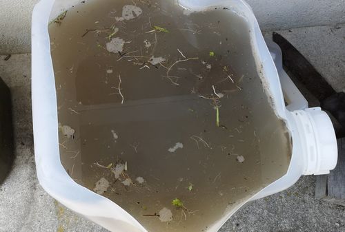 ¿·¤·¤¤¿åÁå¤Ë¿åÅĤÎÅÚ¤òÆþ¤ì¤Æ