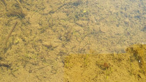 ���ʥ������������Ƥ��ޤ�