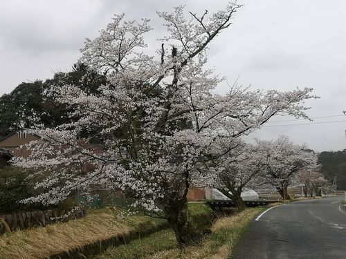 ��褤�κ�����