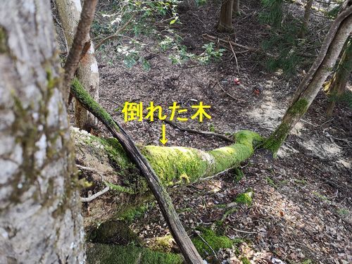 ���θ������ϸ���Ȳ��Ф��Ȥ��ޤ�