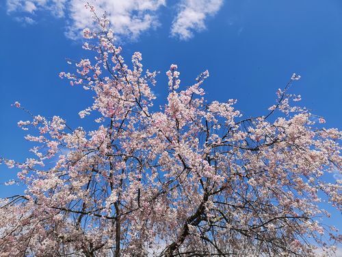 ���λ޿���