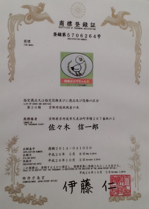 ����������ɸ��Ͽ��