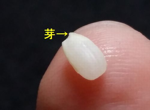 �꤬�Ĥ��ǿ��ӻϤ�Ƥ��ޤ�