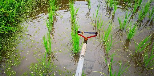 ¤º¤ÃÂÀϺ½üÁð¤ò»Ï¤á¤Þ¤·¤¿