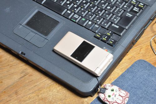 �֥˥塼�ȥ�饤�����פ�Ž�ä��������ä�ܤ��ޤ���