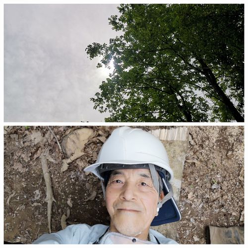 ���ƶ��򸫤�ȵ������������Ǥ���