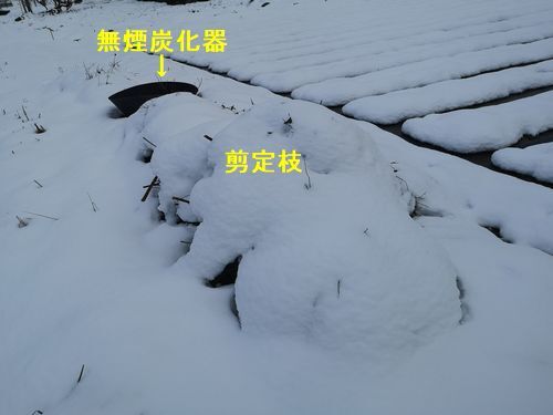 �㤬�Ѥ�äƤ��ޤ��ޤ���