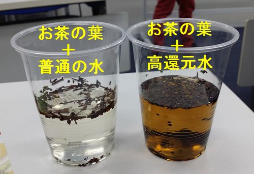 ���Ϥ�����դǼ¸��Ǥ�
