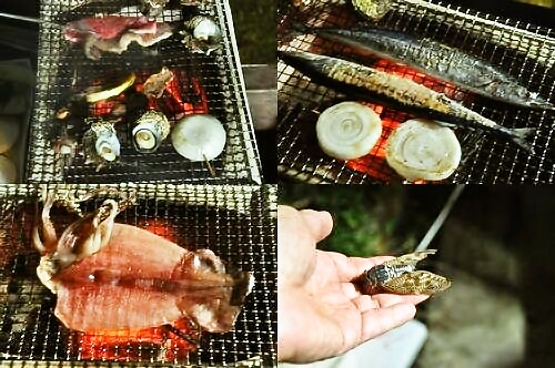 サザエも焼きます。秋刀魚も焼きます