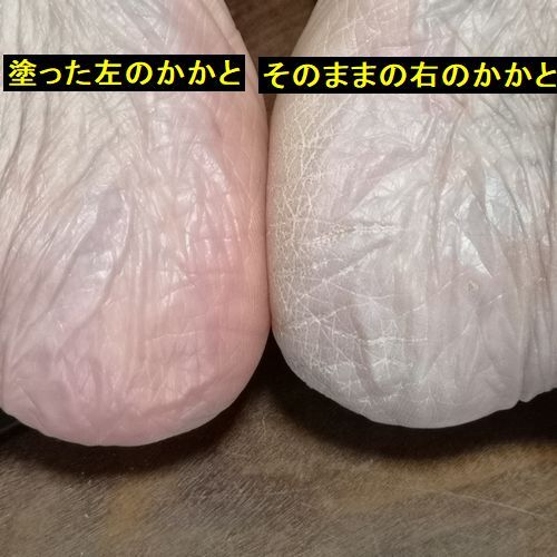 ��������˽�λ���ޤ���