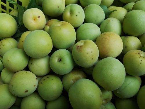 �ߴ����Ѥ��ߤ���Ϥ��ޤ���