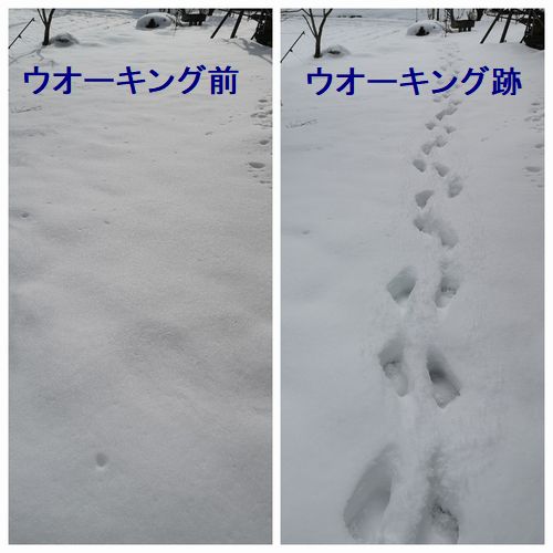 ÀãÃæ¥¦¥ª¡¼¥¥ó¥°