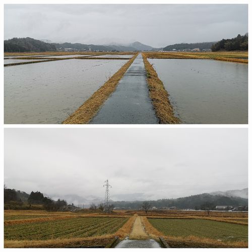 �Ĥ�ܤ���Ϥ��ä���ä��ޤ���