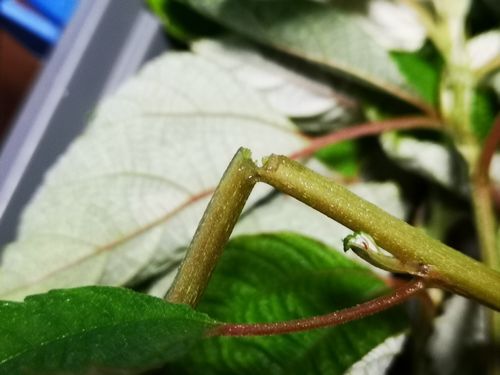 �Ԥ��ޤ�ȥݥ�����ޤ�ޤ���