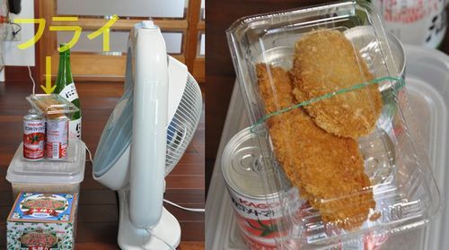 �����֤����Τϥե饤�Ǥ�