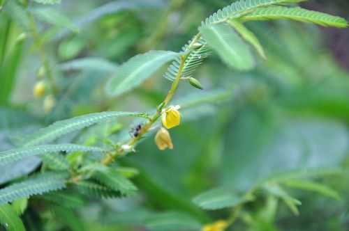 ����饱�ĥᥤ���餭�Ϥ�ޤ���