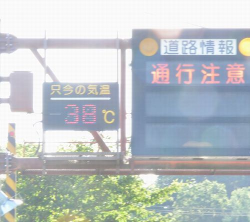 何と38℃です