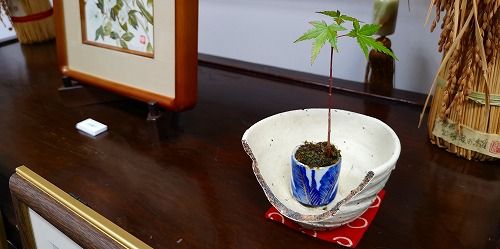 ³ä¤ì¤¿ÃãÏÒ