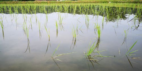 £±£°Æü·Ð¤Á¤Þ¤·¤¿