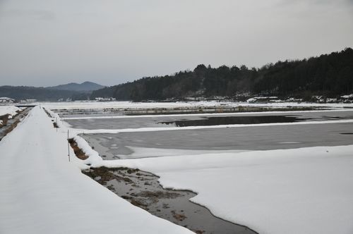 ������٤�ν���Ǥ��Ĥ�ܤǤ��ߴ�ù��