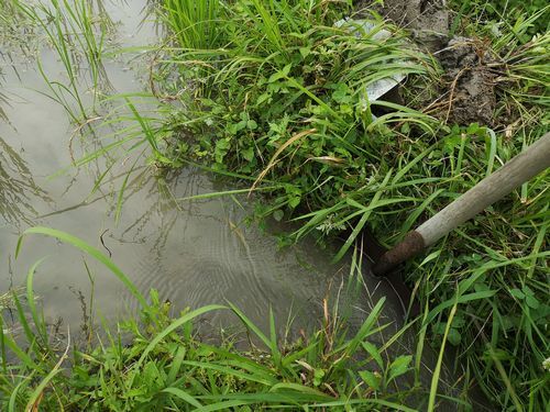 即刻落水を開始し