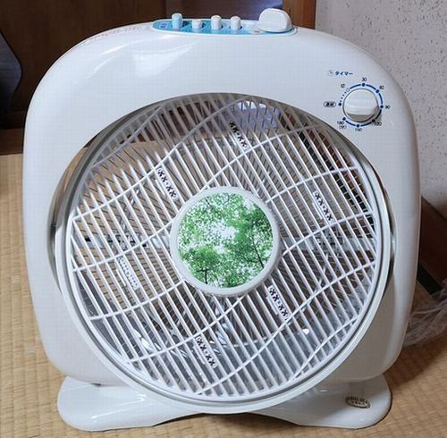 ���Ӥ���