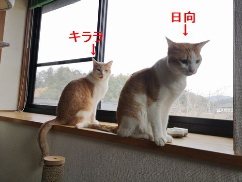 ��ǯ���¤��뤳�Ȥˤʤ�ޤ���