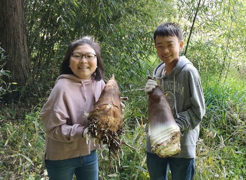 ¥¿¥±¥Î¥³·¡¤êÂθ³