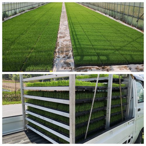 °ú¤¼è¤ê¤Ë¹Ô¤¤Þ¤·¤¿¡£