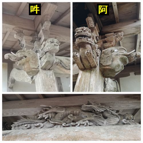 Ω�ɤ�Ħ��ʪ������ޤ�