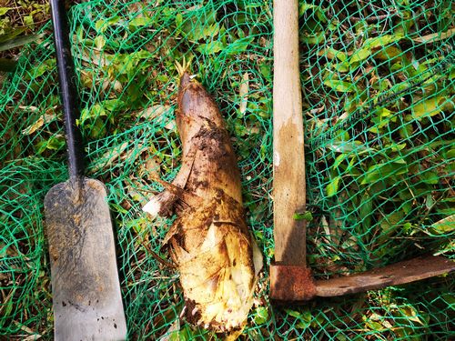 �����Υ�����ϣ��ܤ����Ǥ���