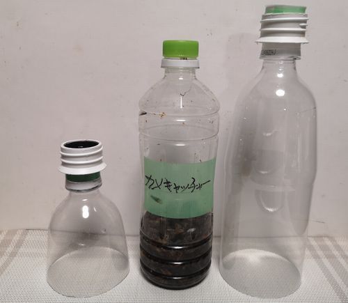 ���ߤ���ͤ�������ॷ�Ϥ�������Ǥ�