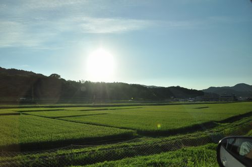 太陽は傾きながらもの陽射しは強く真夏の太陽です