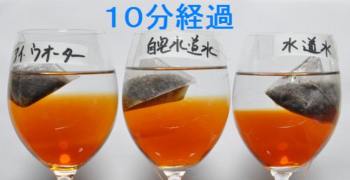 ����ʬ�в�