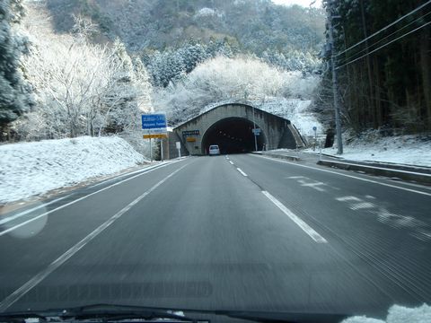 ƽ�Υȥ�ͥ��������Ͽ�����Ǥ���