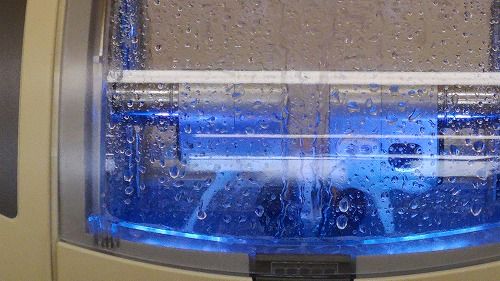 Ë»¤·¤½¤¦¤Ëư¤¤¤Æ¤¤¤Þ¤¹