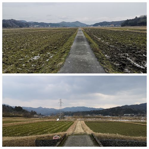 £²·î£±£µÆü¤Ë¤ÏÅĤó¤Ü¤ÎÀã¤Ï