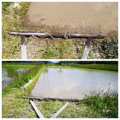 ������������Ĥ�ܤ򣵱������ƺ�Ƚ�λ�Ǥ�