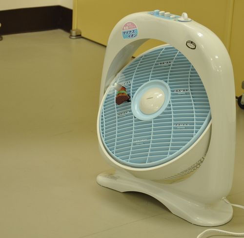 新林の滝