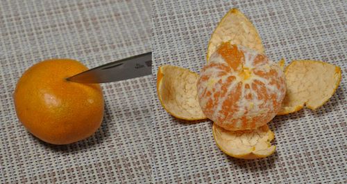 �ڤ��ܤ˱�äƤ�ä��������ޤ�