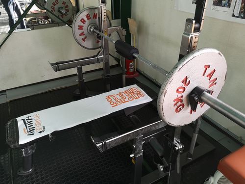 ���館�Ƥޤ�����̵���Ǥ���