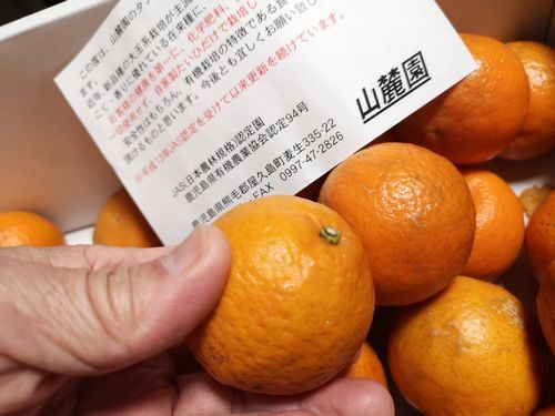 �����񤭤˽񤫤�Ƥ��ޤ�